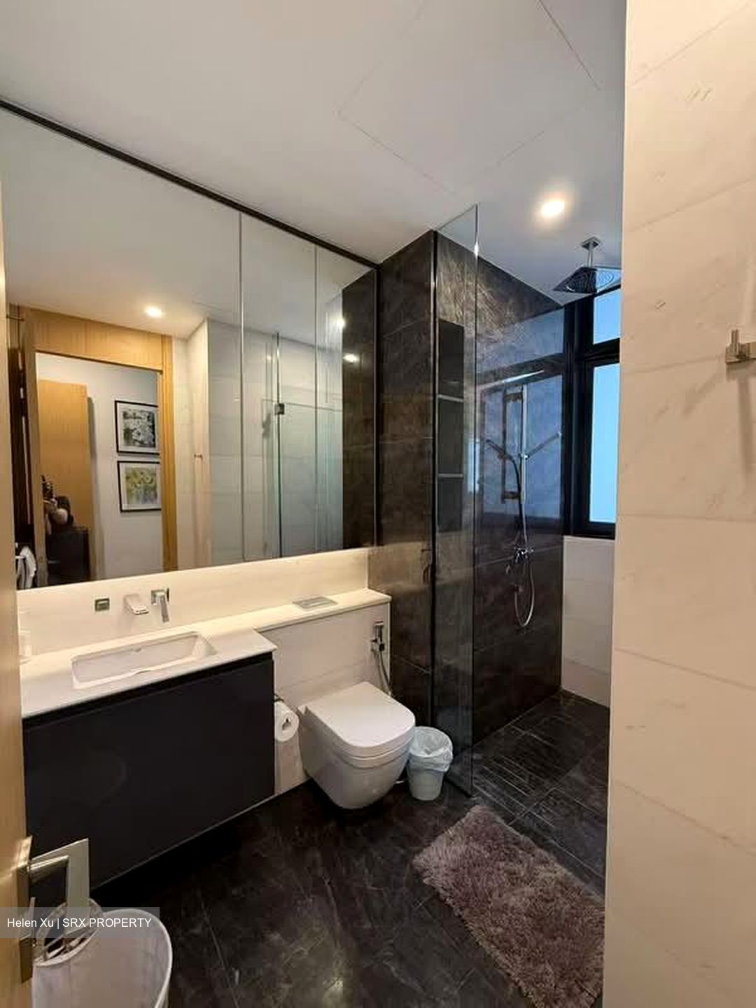 Cairnhill 16 (D9), Apartment #533776751